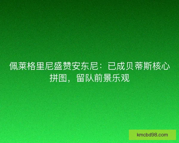 佩莱格里尼盛赞安东尼：已成贝蒂斯核心拼图，留队前景乐观