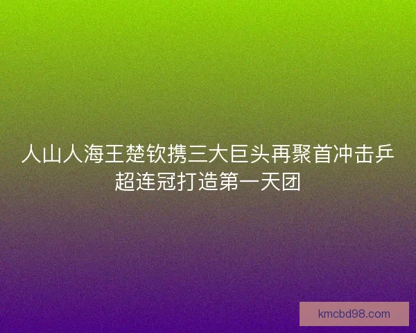 人山人海王楚钦携三大巨头再聚首冲击乒超连冠打造第一天团