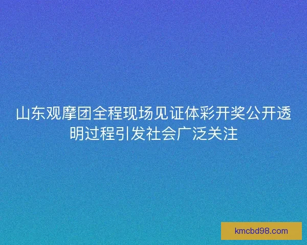 山东观摩团全程现场见证体彩开奖公开透明过程引发社会广泛关注